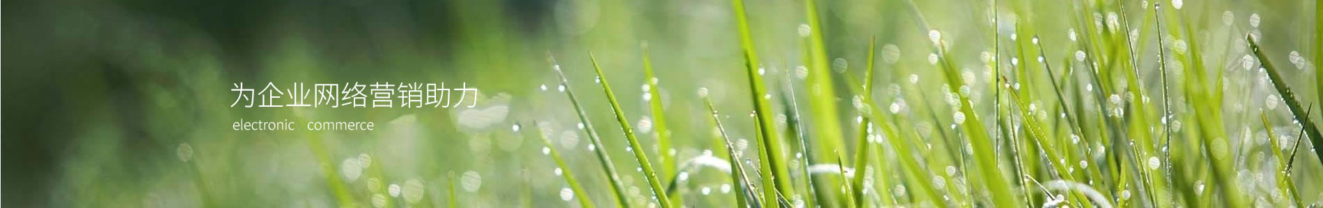ƻ㴴Ƽչ޹˾